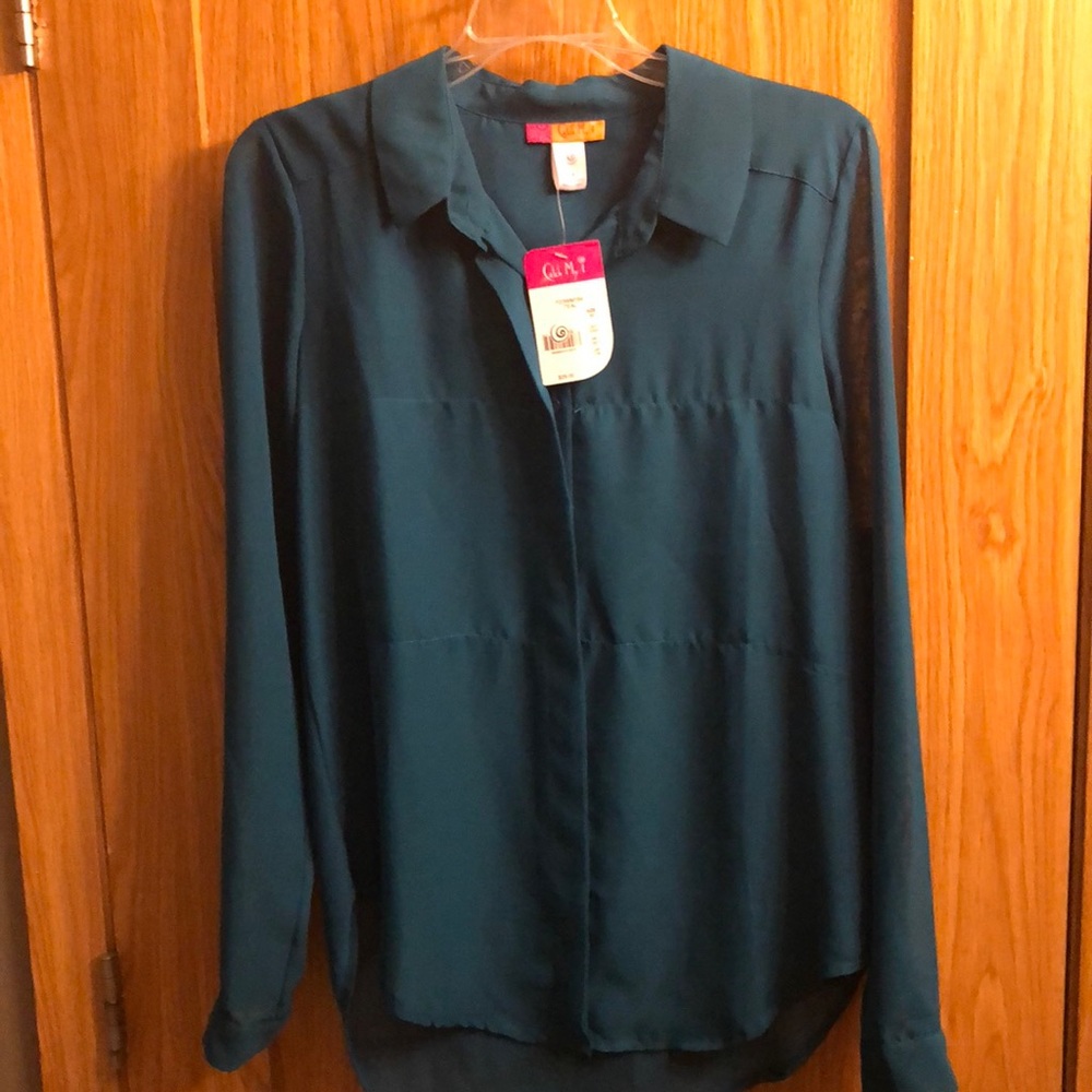 Brand new! Sheer teal blouse